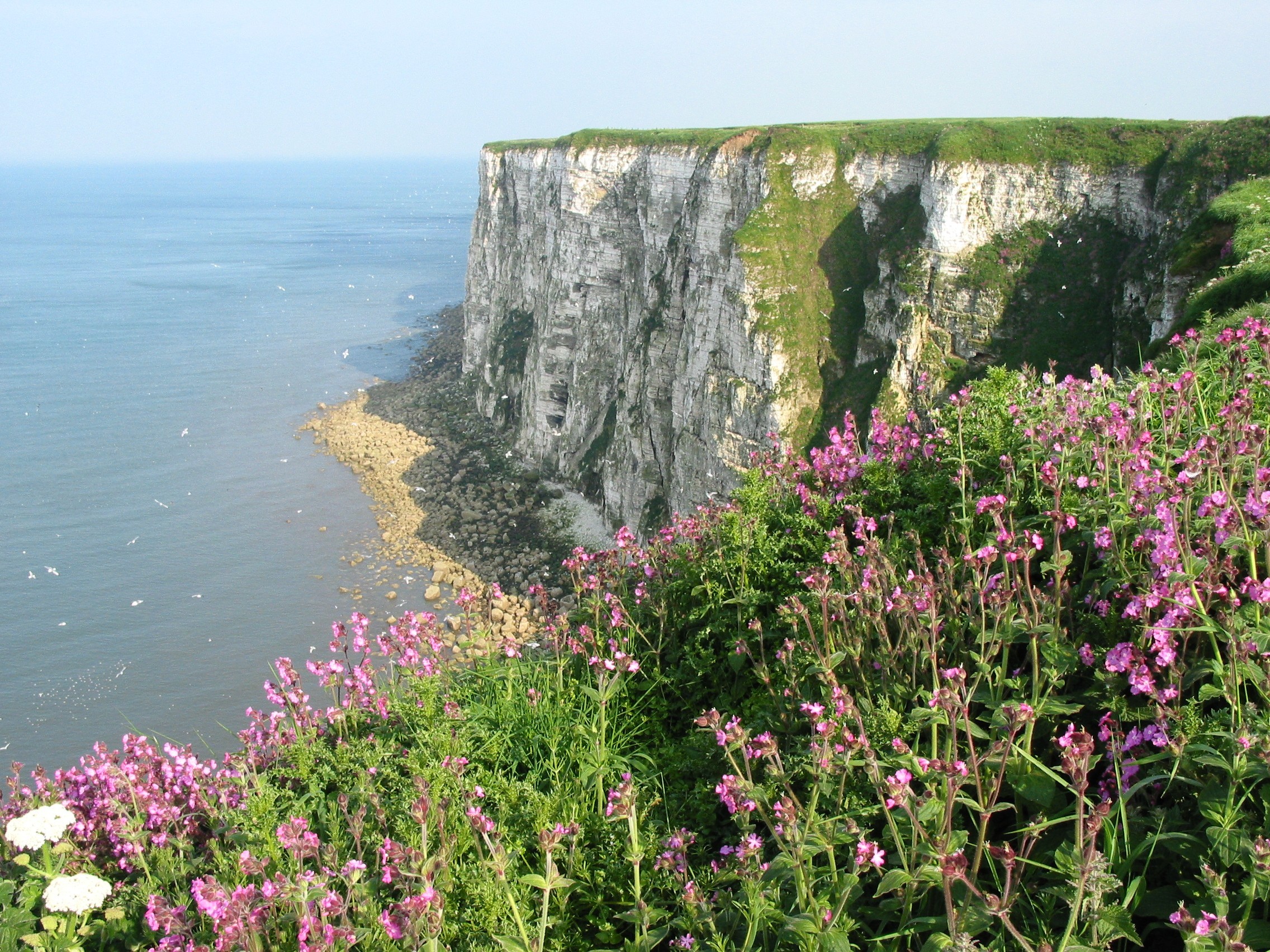 Bempton looking SE.jpg